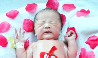 鸡年宝宝起名取名大全嘉