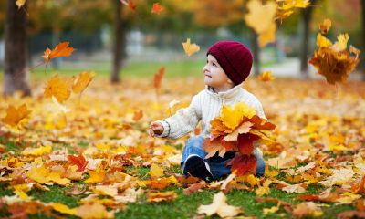 2017宋氏宝宝起名取名大全