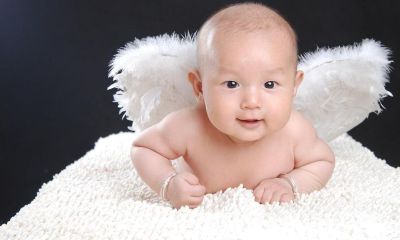 鸡年男宝宝生辰起名取名字