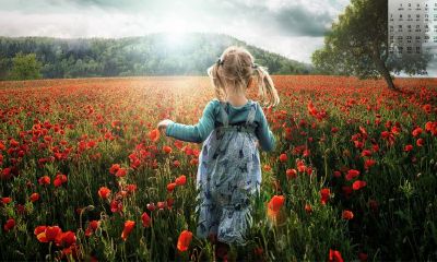 解姓中字辈宝宝起名取名