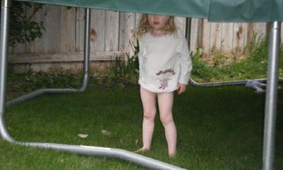 鸡年张宝宝起名取名大全集