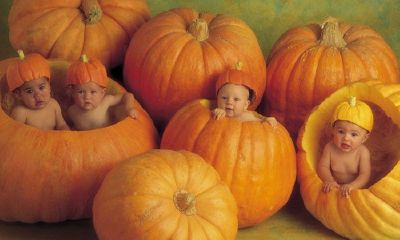 鸡年宝宝姓马起名取名大全