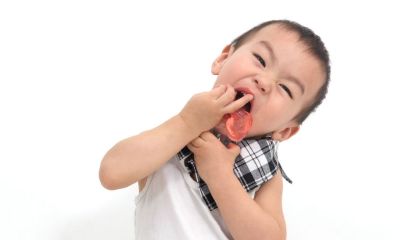 猴年郑姓宝宝起名取名女