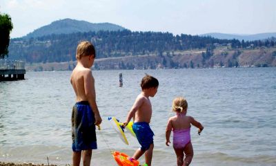 猴年柳姓宝宝起名取名