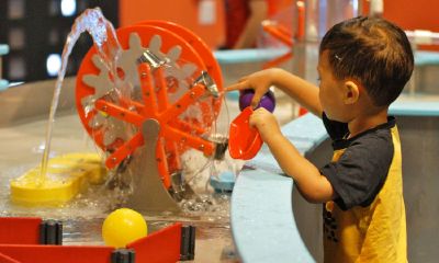 蒙姓猴宝宝起名取名