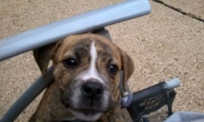 小宝宝怎样起名取名