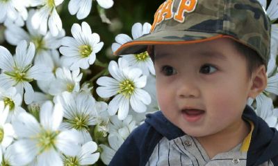 怎么给鸡年宝宝起名取名字