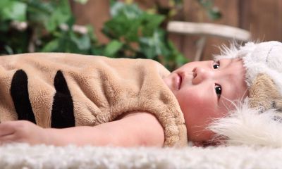 2017年柳姓宝宝起名取名