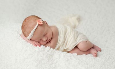 七月生的鸡宝宝起名取名字