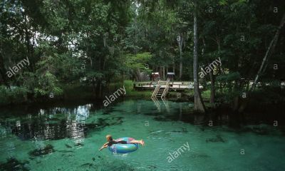 鸡宝宝起名取名不要用那些?