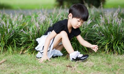 鸡宝宝起名取名用哪个字好