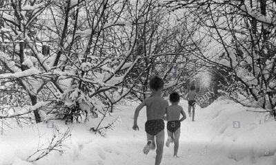 毛姓男宝宝起名取名