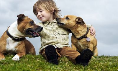 羊年十月份姓李女宝宝起名取名大全