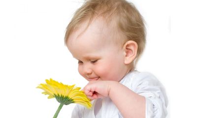 带科字起名取名的鸡宝宝