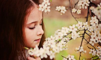 属牛的宝宝起名取名用什么字好