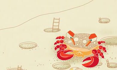 巨蟹座发展潜力