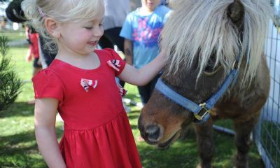 鸡年男宝宝起名取名带尚字