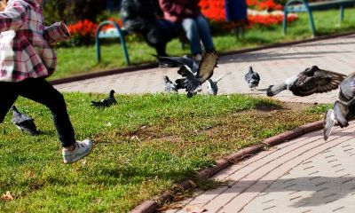 丁宝宝起名取名