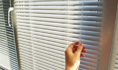 2005年宝宝起名取名大全集