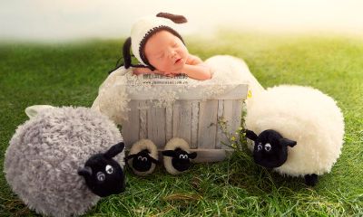 给刚出生宝宝起名取名字