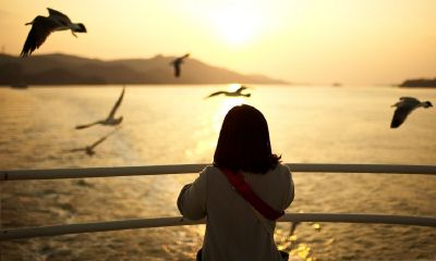 鸡年邢姓宝宝起名取名