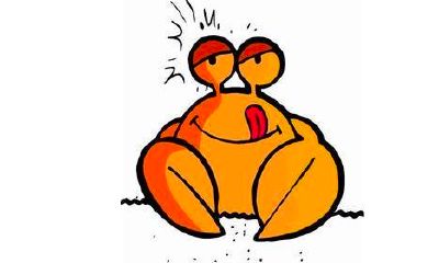 巨蟹女和狮子男配对