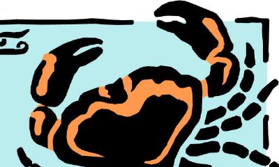 恋人的约束,巨蟹座能接受吗?