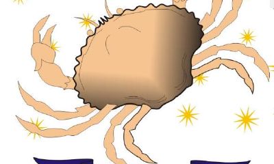 巨蟹座让爱甜过头的技巧是什么