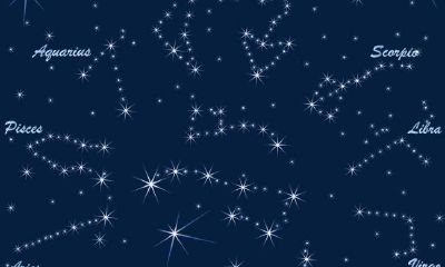 处女座与12星座的工作搭档