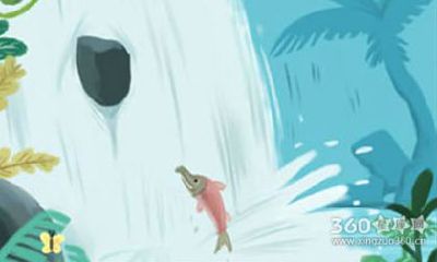 生肖狗遇见碰瓷的会怎样解决