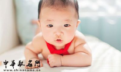 2017年2月出生的鸡宝宝起名大全