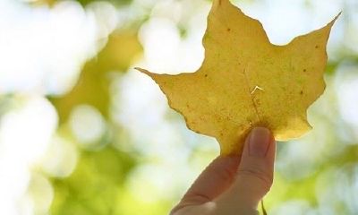 姓太叔可爱的女孩名字大全