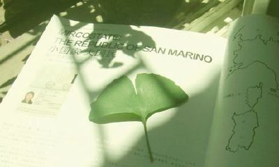 姓单于可爱的女孩名字大全