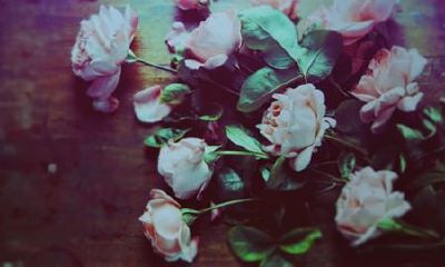 姓那可爱的女孩名字大全