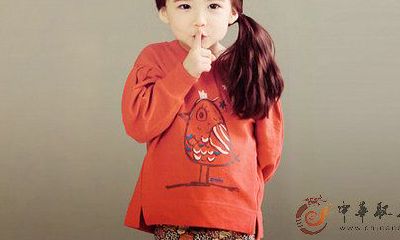 鸡宝宝起名 500个好听的鸡宝宝名字大全