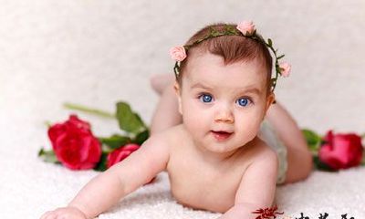 2018年狗宝宝阳光的小名大全