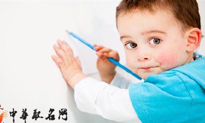 2018年姓张的狗宝宝取名字大全