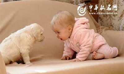 2018年属狗宝宝几月出生最好