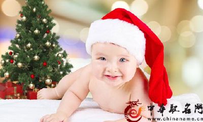 2017年农历一月出生的狗宝宝命运分析