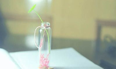 姓贲女孩可爱的名字大全