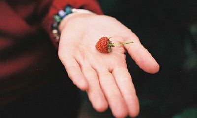 姓熊可爱的女孩名字大全