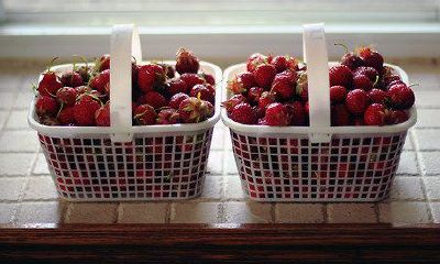 姓纪可爱的女孩名字大全