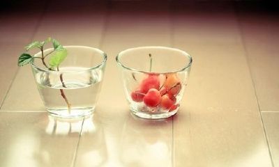 姓孟可爱的女孩名字大全