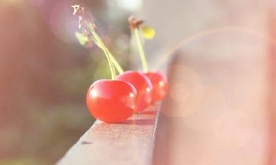 姓贺可爱的女孩名字大全