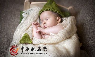 属狗宝宝起名 2018年你家宝宝名字起对了吗?