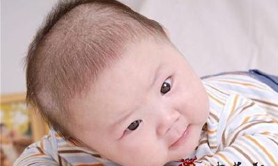 给何姓狗宝宝起名的方法推荐