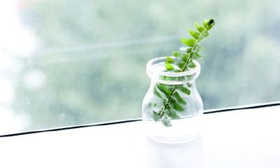 姓邹可爱的女孩名字大全