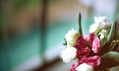 姓朱可爱的女孩名字大全