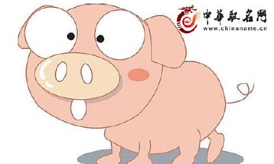 2019年几月出生的属猪宝宝最好?