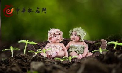 狗年男孩取什么名字好听 男孩名字推荐